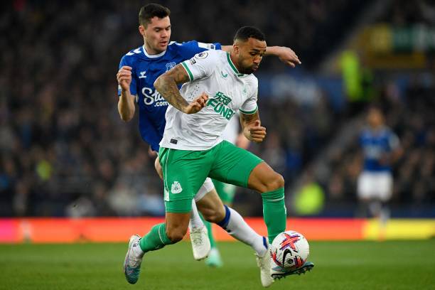 桥本帆乃香 桥本帆乃香